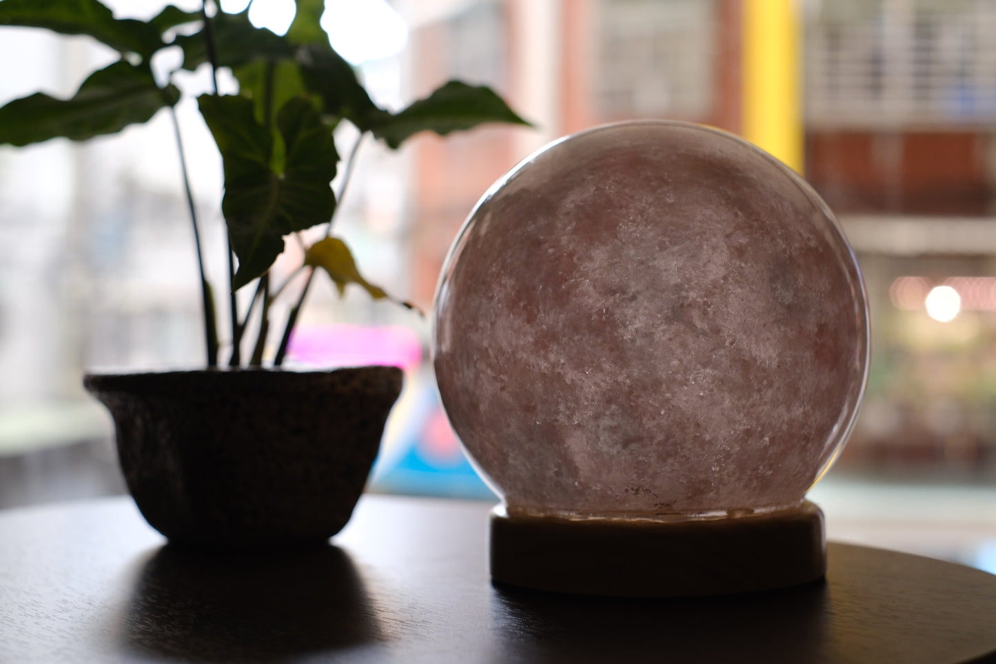 Sakura Candle Light 櫻花小夜燈