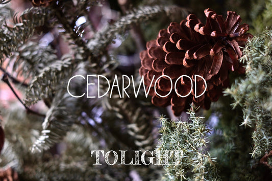 Cedarwood 雪松