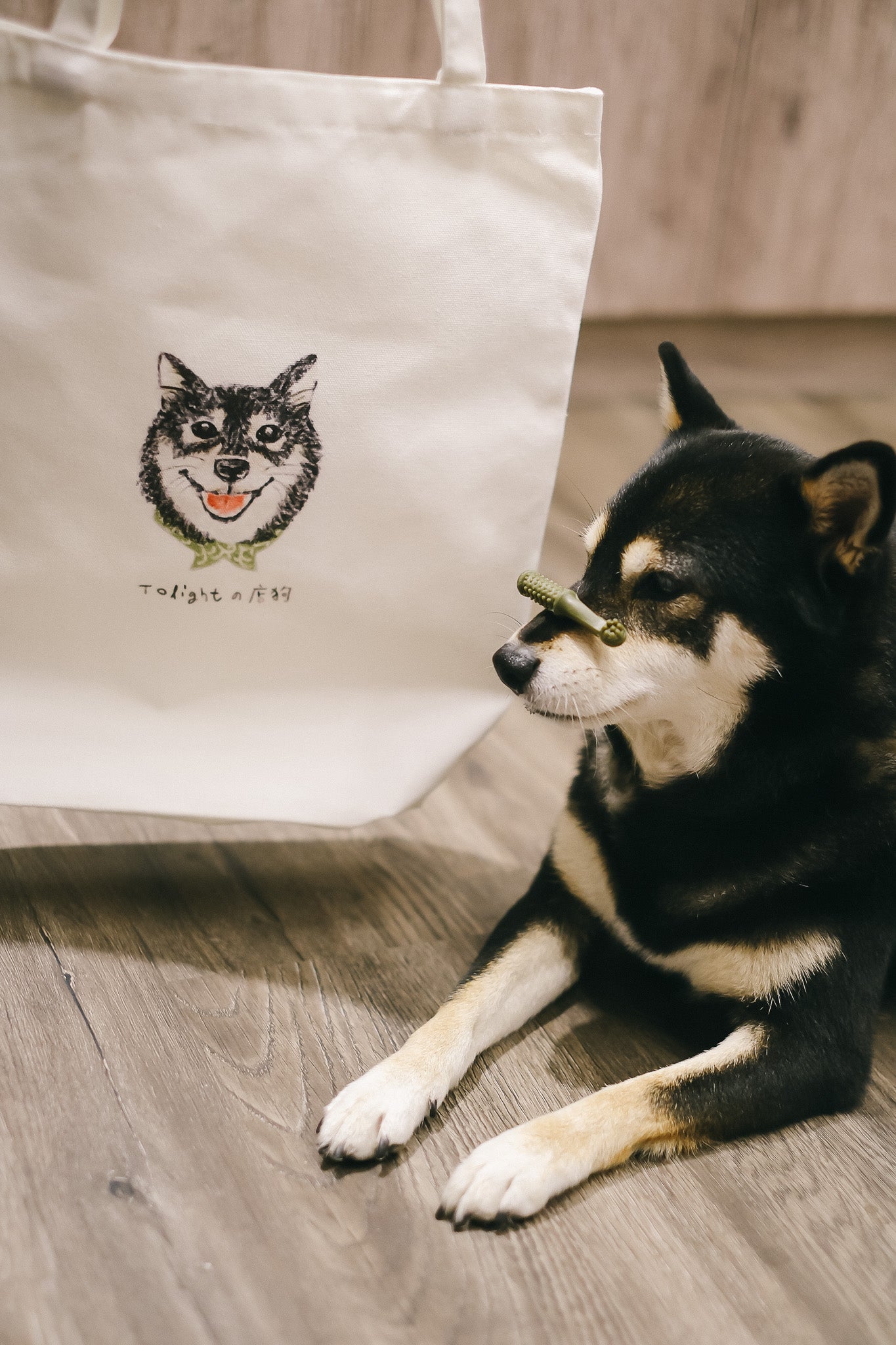 店狗黑柴帆布袋 Shiba Canvas Bag