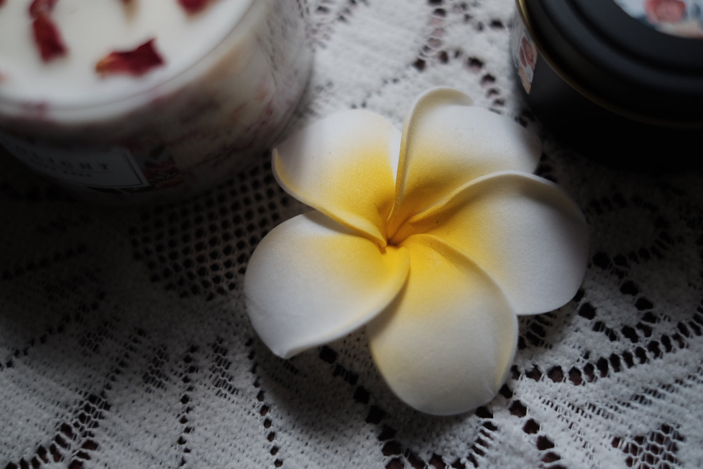 Plumeria 雞蛋花