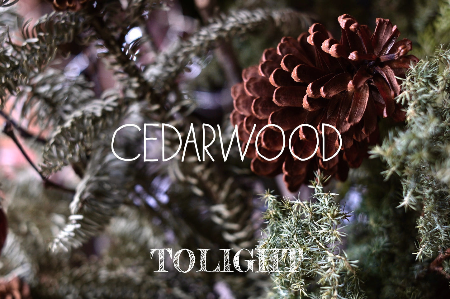 Cedarwood 雪松