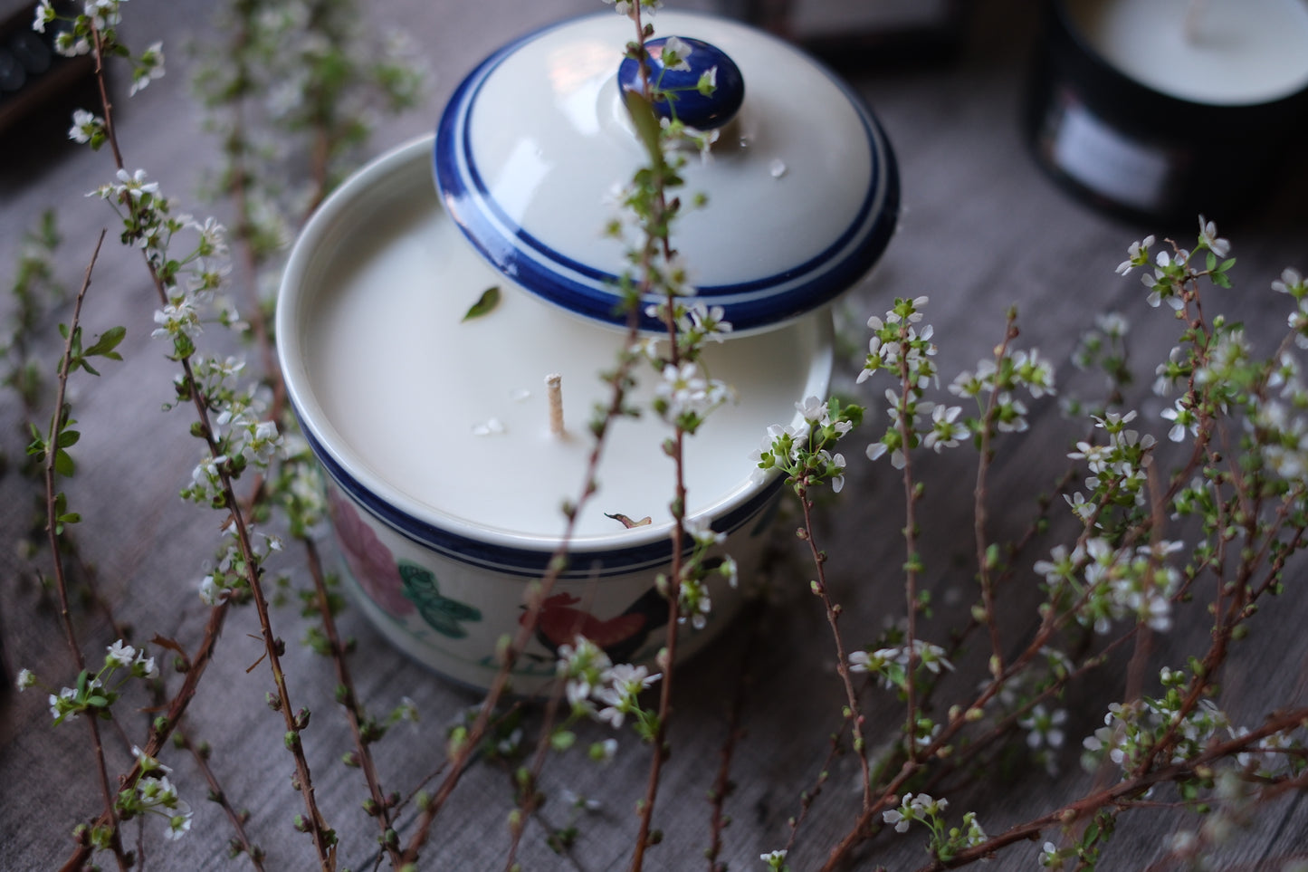 White Tea 白茶